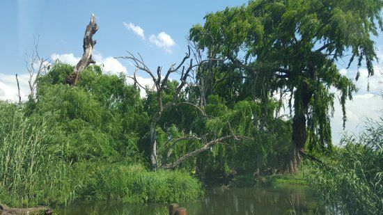 Rietvlei Nature Reserve